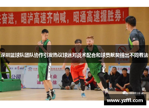 深圳篮球队团队协作引发热议球迷对战术配合和球员默契提出不同看法